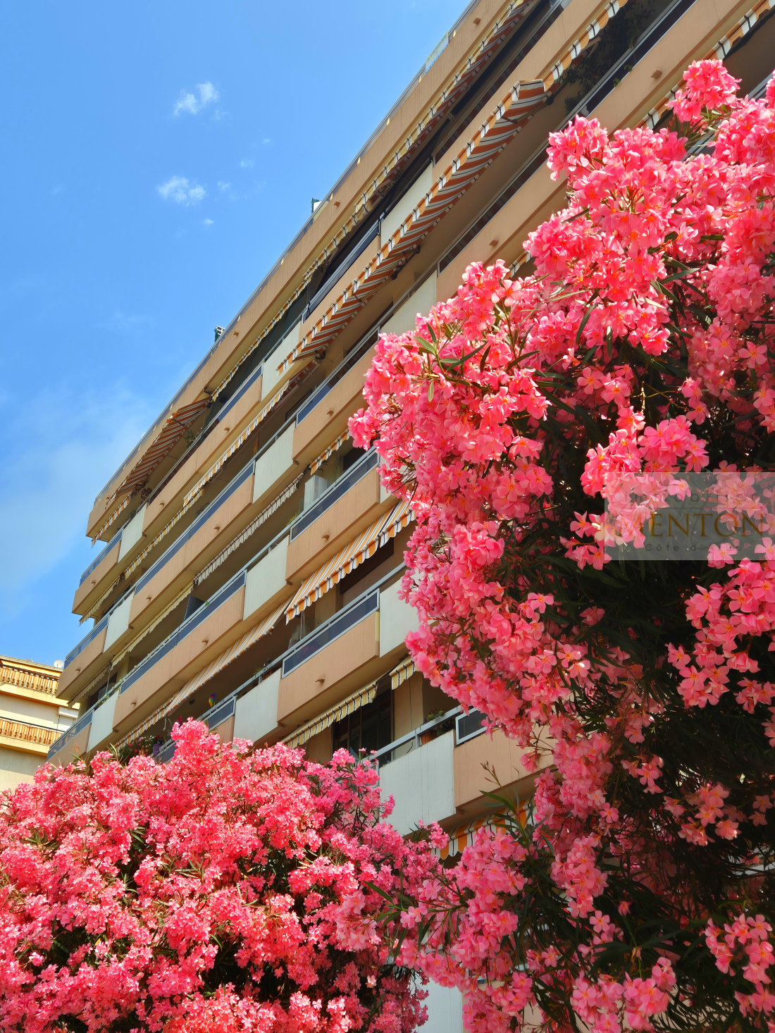 façade de l 'imeuble