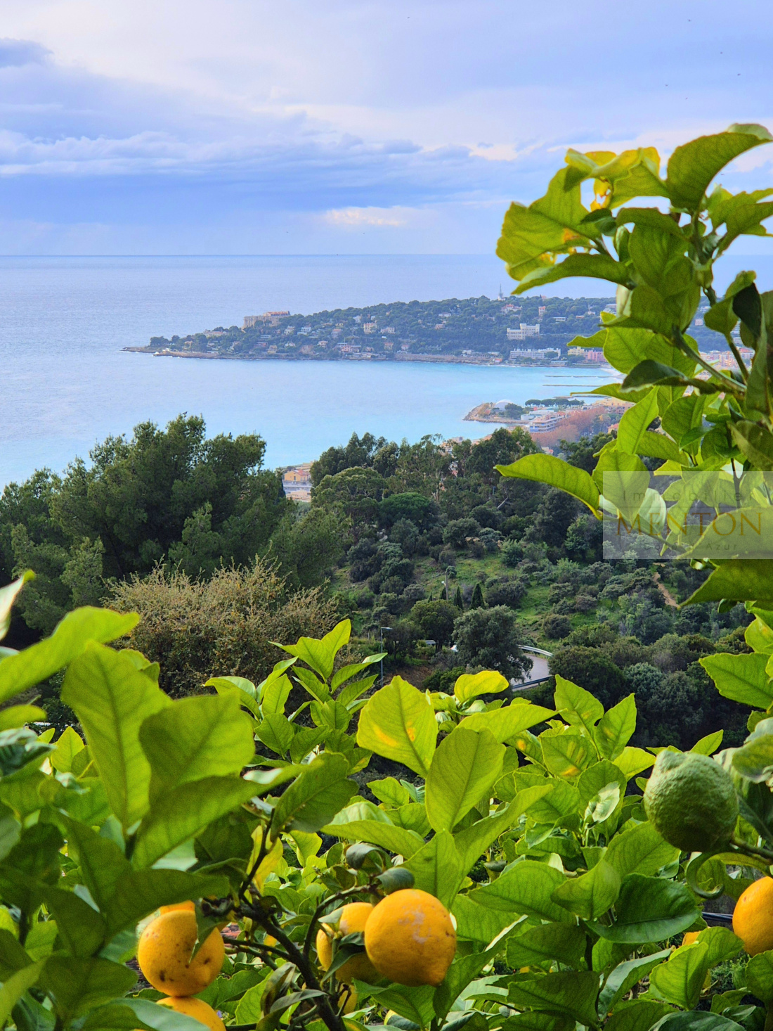 à la pointe du cap martin