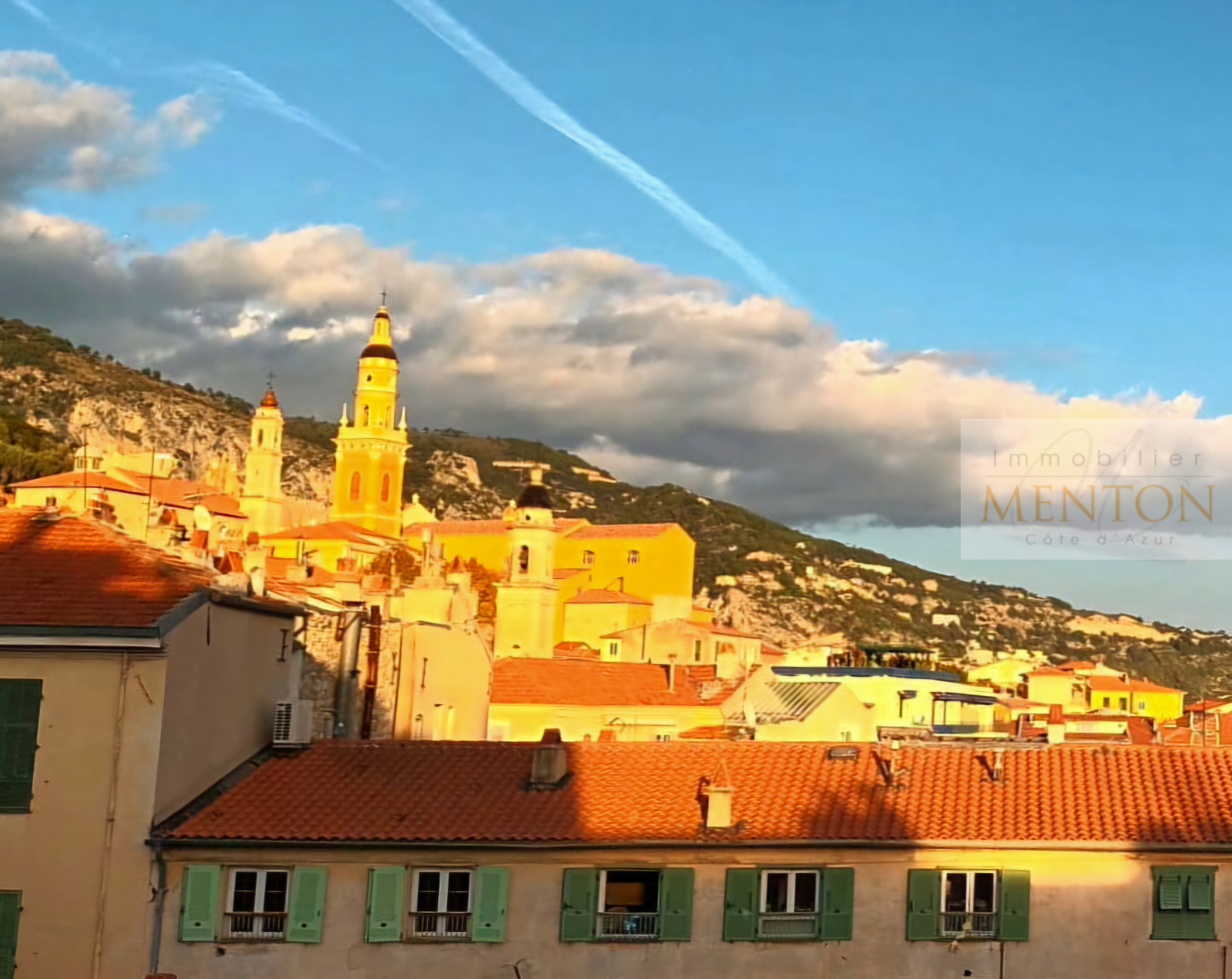 Agence immobilière de www.immobilier-menton.net